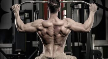 Shoulder Exercises: Understand Their Function and Discover Effective Movements